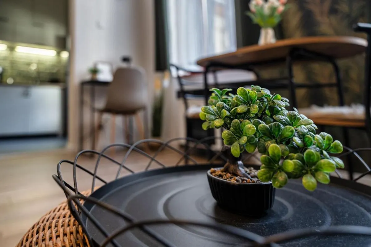 Green Palm Apartment Near By Heroes Square With Free Parking Budapest