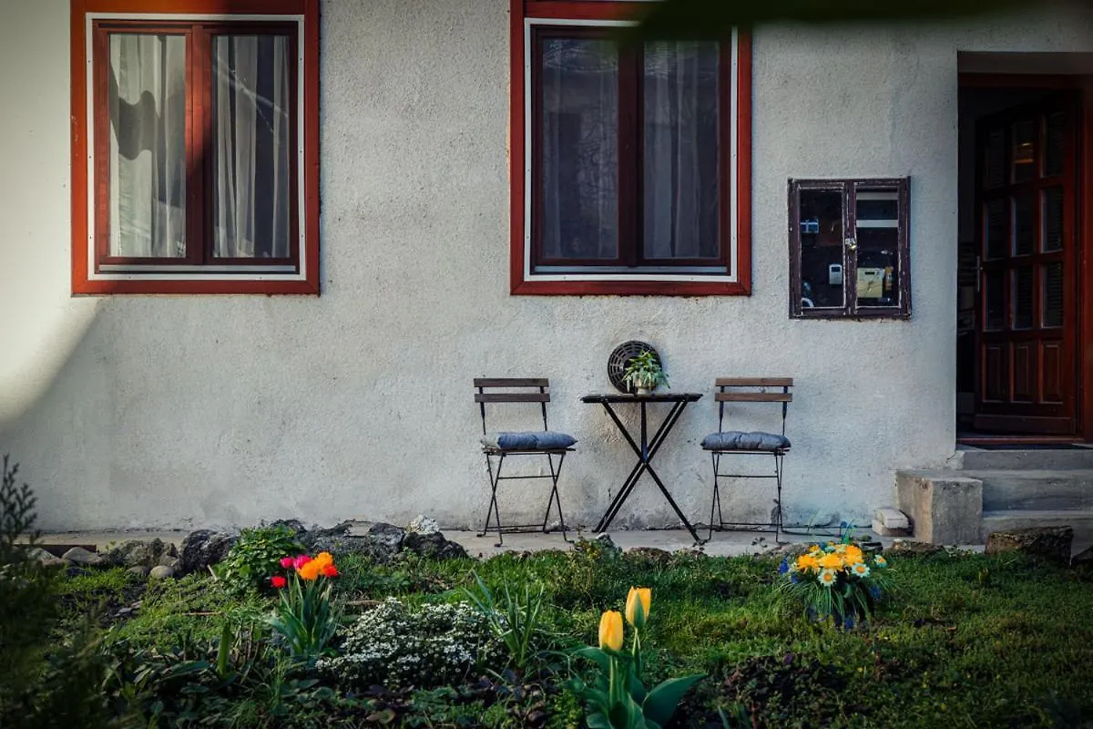 Green Palm Apartment Near By Heroes Square With Free Parking  Budapeste